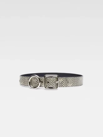 La ceinture Regalo Ceinture à boucle ronde et carrée